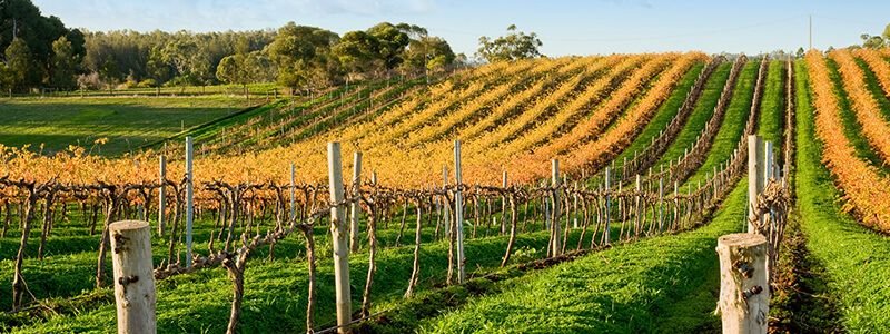 800x300-adelaide-australia-barossa-valley